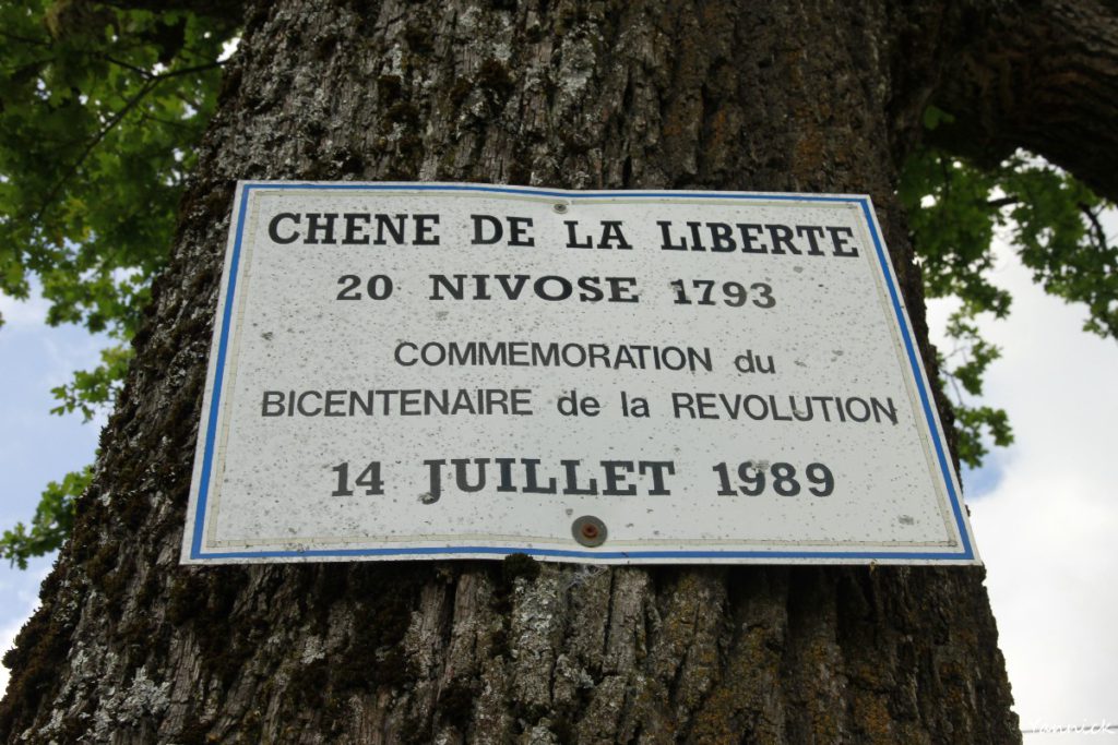Chêne-de-la-Liberté-Clucy-Jura-Yannick-Morhan-9