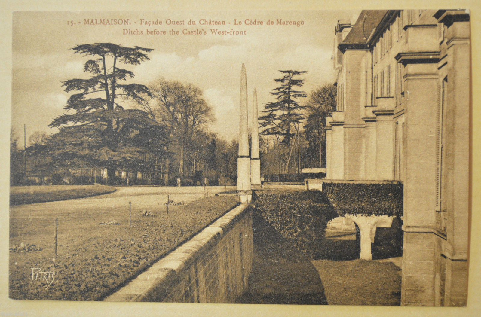Cèdre de Marengo Rueil-Malmaison, Jean Luard (8)