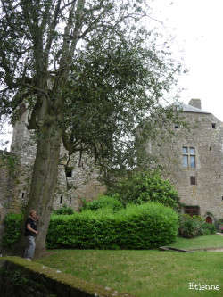 Houx du château de Lassay-les-Château, Mayenne Etienne (2)