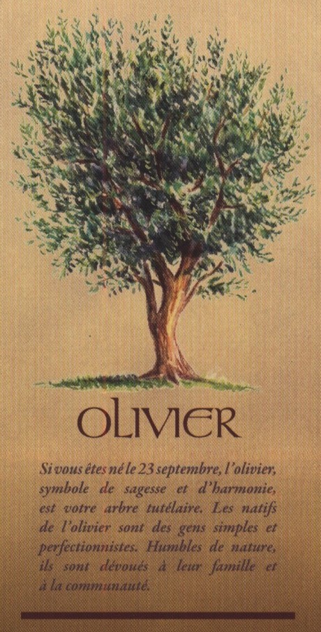 OLIVIER.jpg