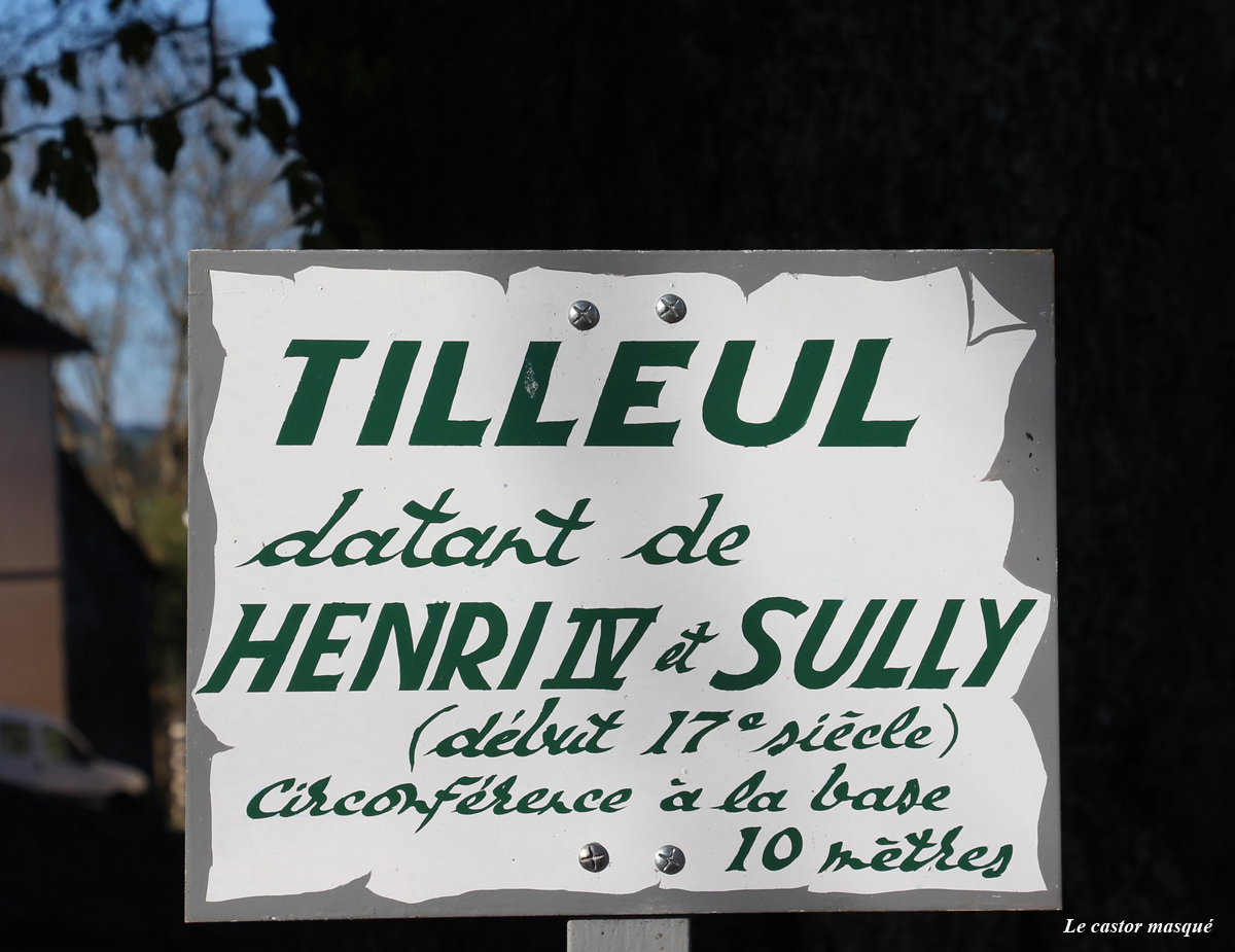 tilleul-sully-olby12